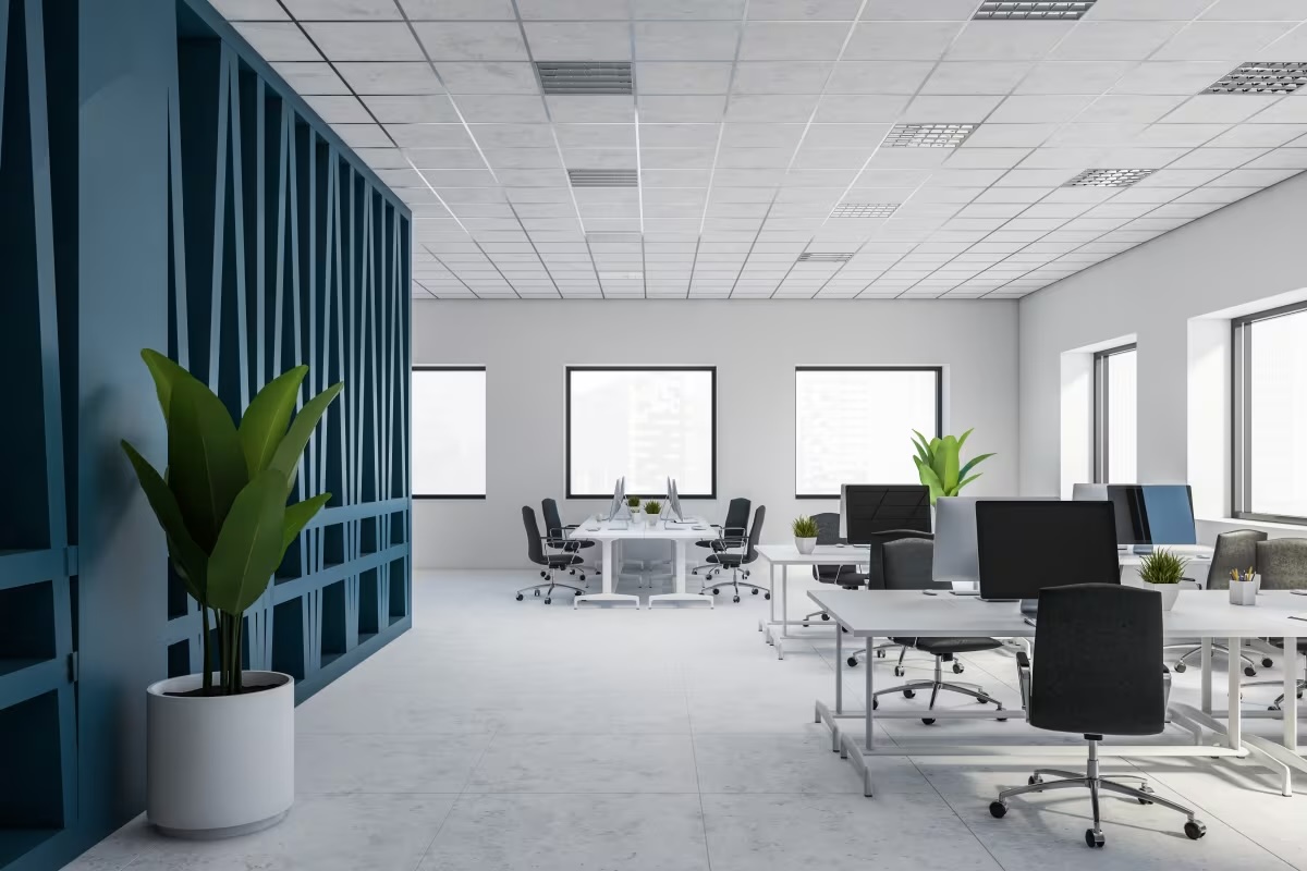 Trellis Connect visual